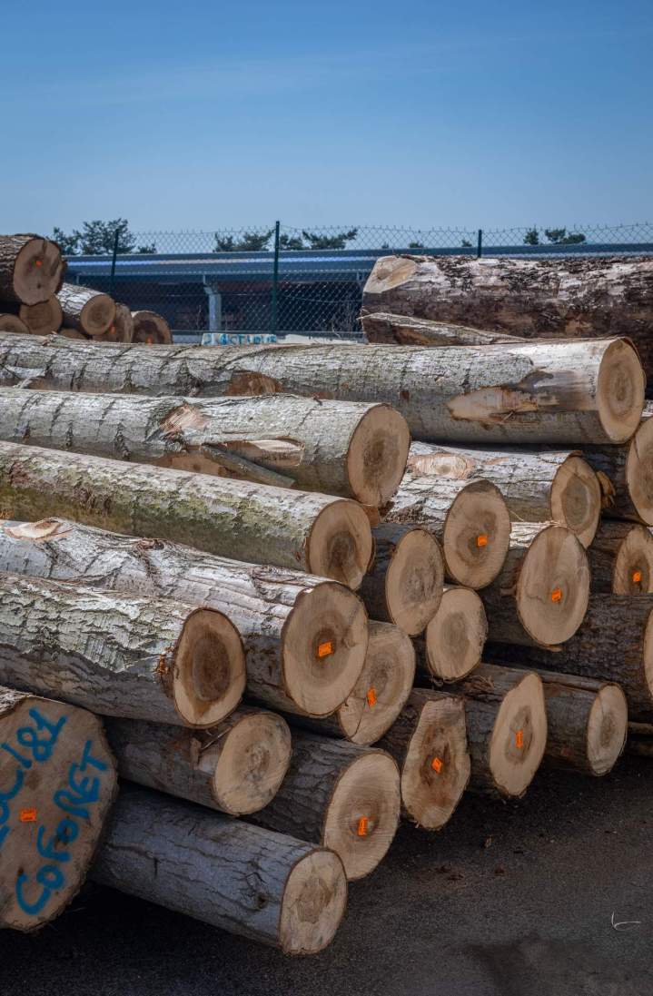 Séchage de bois Monistrol-sur-Loire